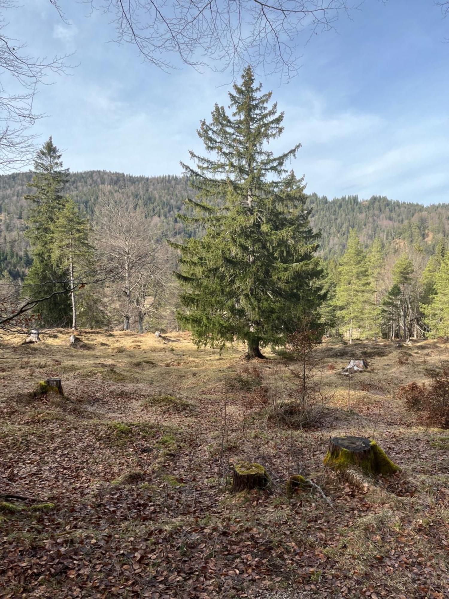 Fewo Lautersee Mittenwald Exterior photo