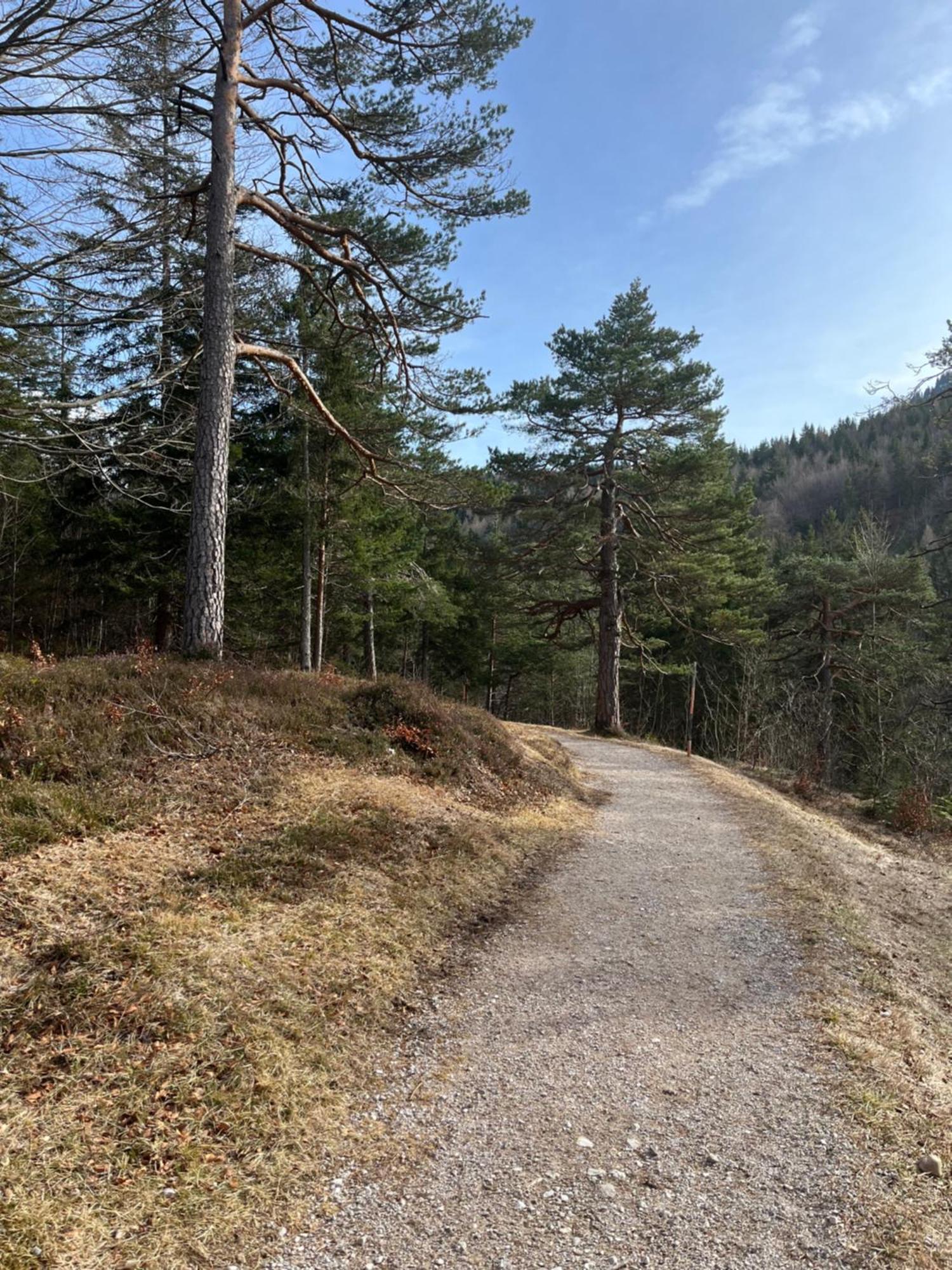 Fewo Lautersee Mittenwald Exterior photo